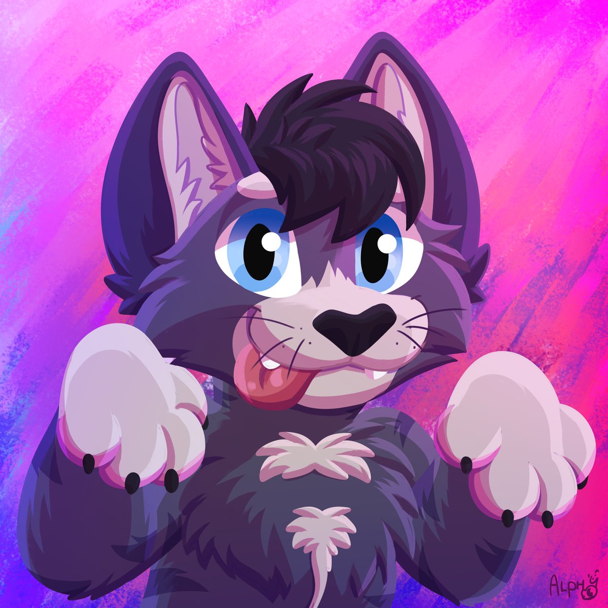 🦴Alphy 🦴 tweet media