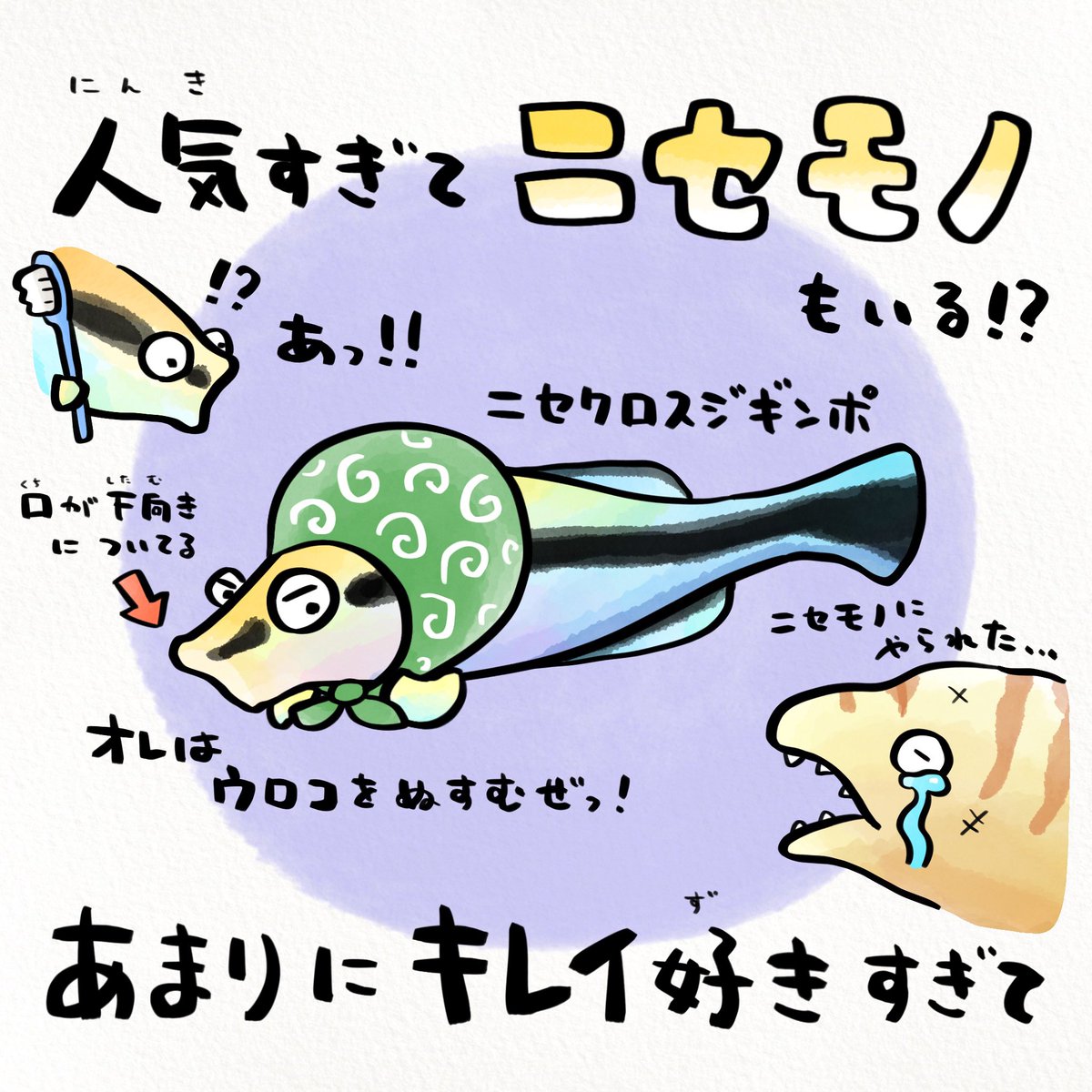 綺麗好きすぎるって! 