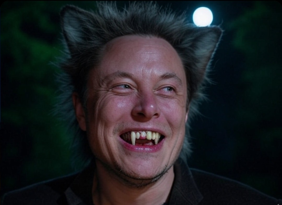 Krypto_Knight99's tweet photo. @InkByte Elon Musk just lost his mind over 
@madwolfcrypto's $HOWL! Dude’s howling at the moon, turning into a full-on werecryptowolf. Tesla’s pumping, crypto’s mooning, and Elon’s leading the pack with $HOWL in his claws. This is WILD! #ElonUnleashed #HOWLtoTheMoon https://t.co/vstZcbvfrT