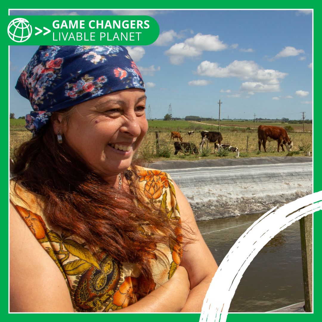 WBG_AgriFood's tweet photo. Agriculture and food are drivers of environmental degradation. But the solutions are there.

Zambia’s farmers are keeping carbon in the ground, while Uruguay is modernizing its livestock sector to reduce water pollution and protect the atmosphere: https://t.co/mWW1fjjzRY https://t.co/lfJr9iDIhG