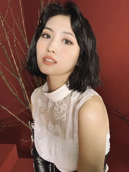 ⠀ 
               𝐸vane𝕤ce𝑛ce (っ=͟͟͞͞🍰 ☆ 𝐵-𝚍ay.
                    𝕤pecial « #𝑝onyo ♡ » 𝚍ay. 
⠀
