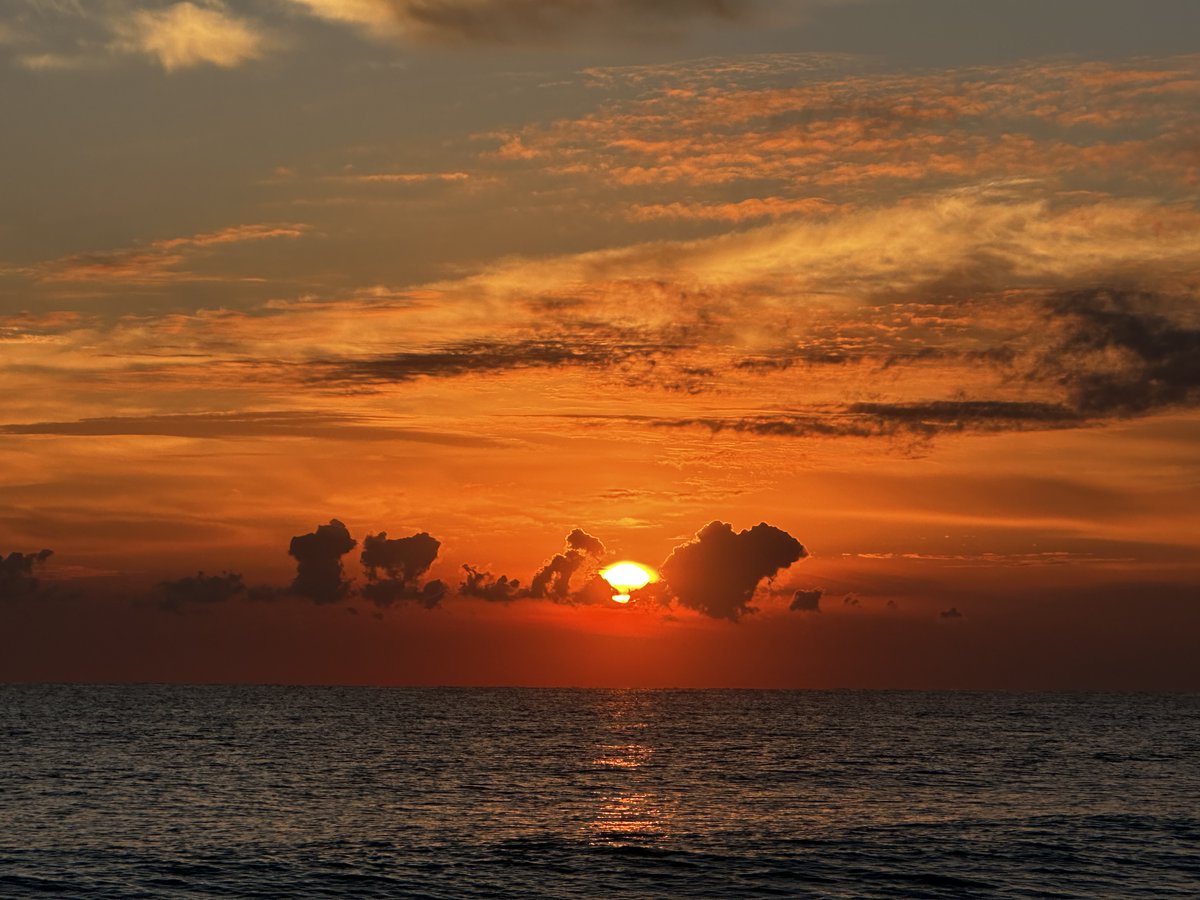 Excited to present my work at the ACTRIMS conference in West Palm Beach, Florida! We analyzed the progression of multiple sclerosis lesions across different subtypes, including chronic non-PRL, CEL, and PRLs. 
Swipe for a beautiful seaside sunrise! #ACTRIMS