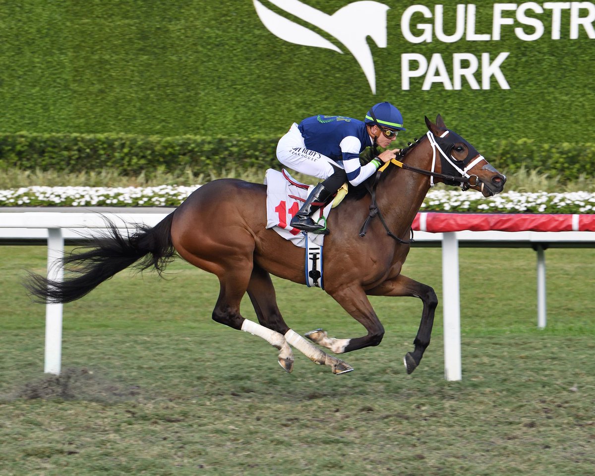 Gulfstream Park (@gulfstreampark) on Twitter photo Chill the J pulls away in the final stretch to deliver in the nightcap for trainer and owner <a href="/SaffieJosephJr/">Saffie Joseph Jr.</a>, a Hat Trick today for jockey <a href="/Tyler_Gaff/">Tyler Gaffalione</a>! #GulfstreamPark #ChampionshipMeet Chill the J pulls away in the final stretch to deliver in the nightcap for trainer and owner <a href="/SaffieJosephJr/">Saffie Joseph Jr.</a>, a Hat Trick today for jockey <a href="/Tyler_Gaff/">Tyler Gaffalione</a>! #GulfstreamPark #ChampionshipMeet