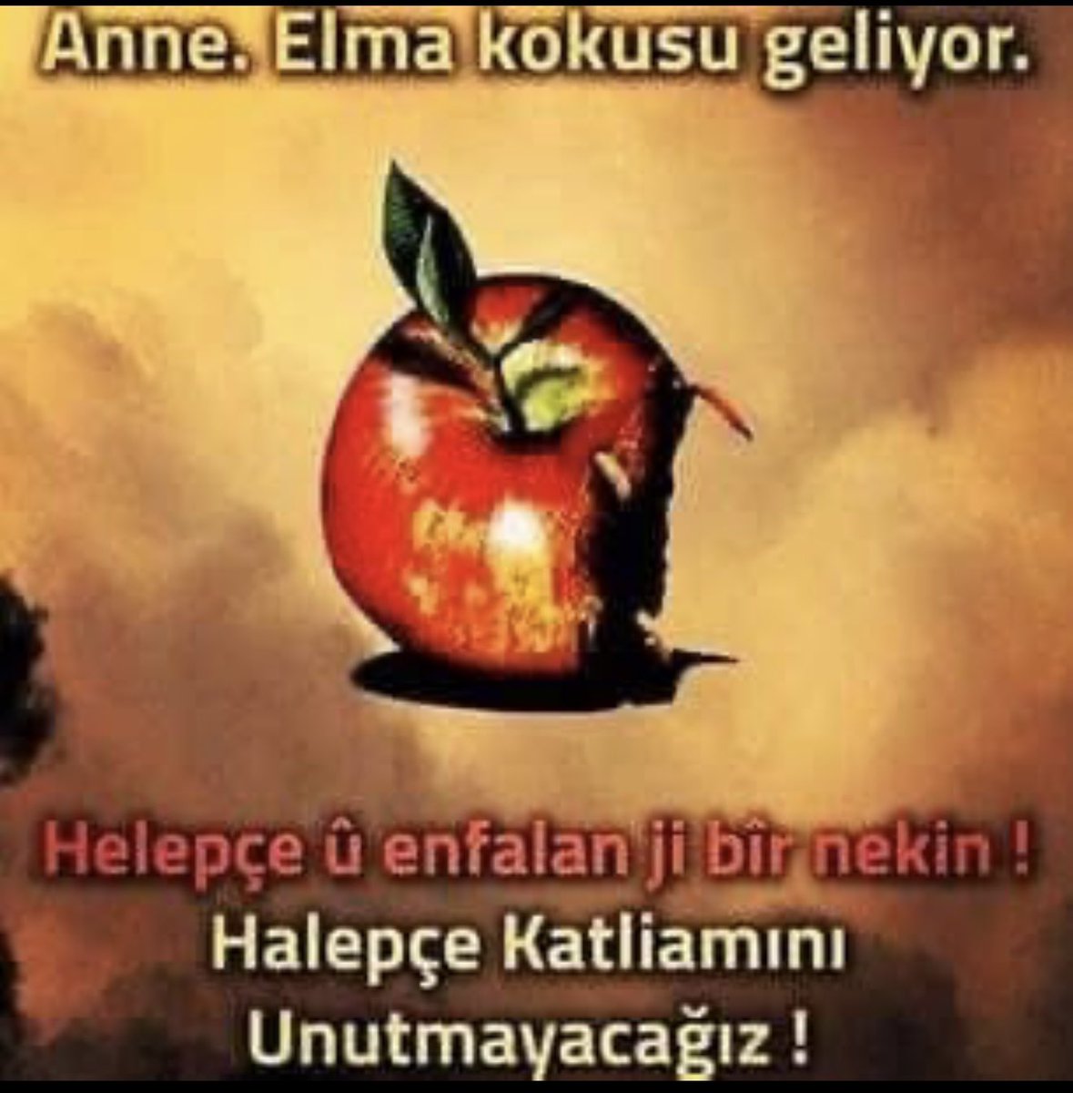 Dîsa li me ferman e…

 #Halepçe
 #HalepceSoykırımı