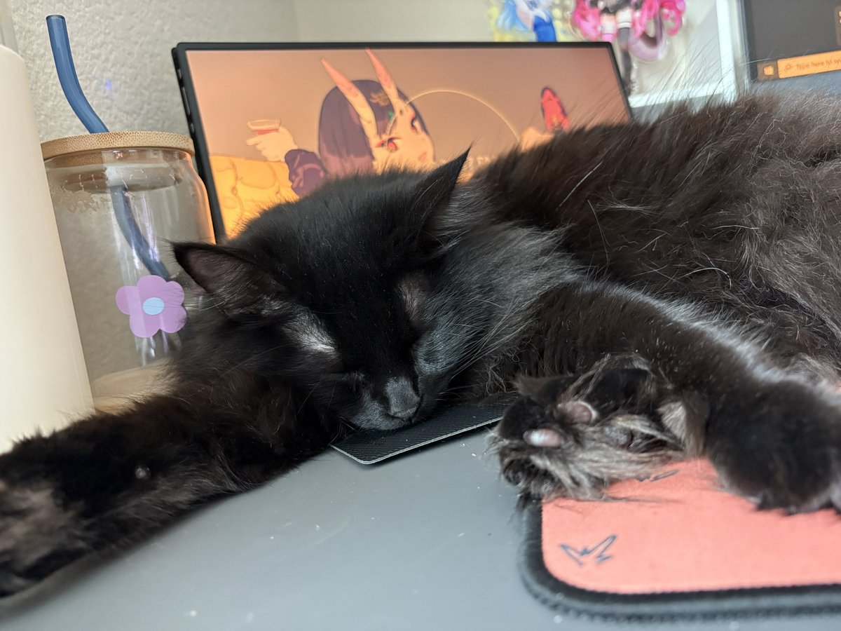 shes so cute when she sleeps i couldnt help but take at least 20 pictures of her being sleepy (^_ _^).｡o○