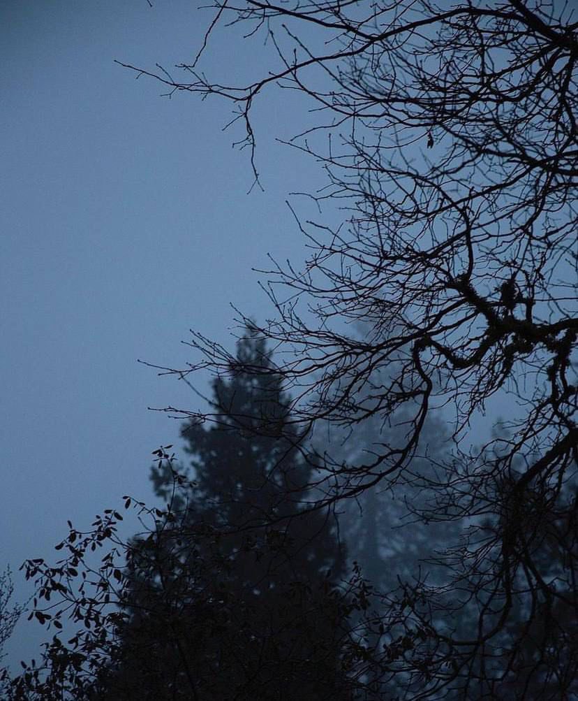 " السلسال "

يفز الك قلبي كل ما شفت حبة خال
مثل فزة الشاعر .. على الفكره الحره