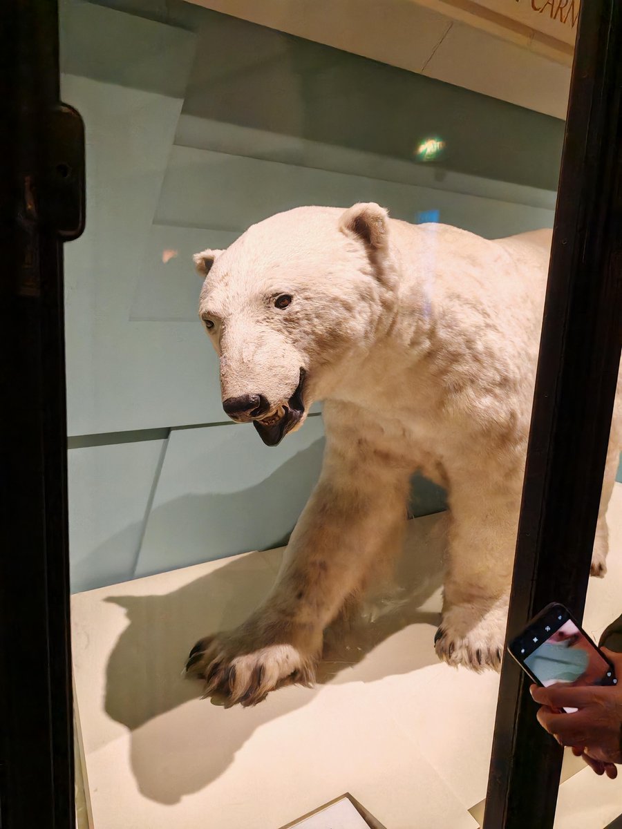 London's Natural History Museum 🦖📷, full of amazing history and wonders of nature!