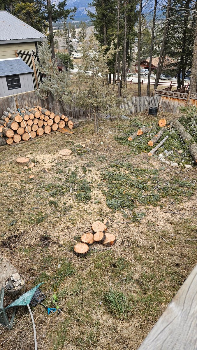 KootenayA's tweet image. There is lots of tree clean-up going on here, so no archery, unfortunately.  4 out of 5 trees are on the ground, so hopefully, by next Saturday, everything will be done. I'm leaving Monday-Friday for shooting my bow lmao. 
#springcleanup #keepmoving