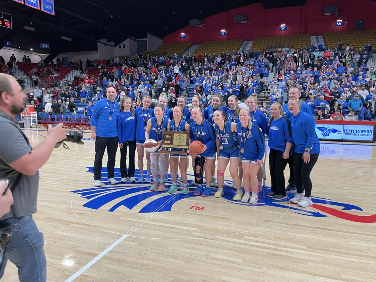 Halstead Dragons tweet media