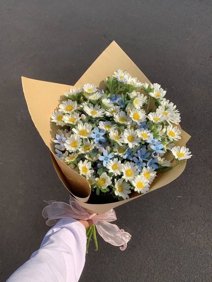 i3Moment's tweet photo. Daisies bouquet 🌼 https://t.co/0jJ6S8f29A