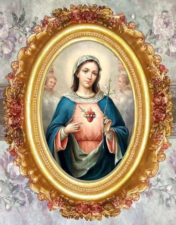 A_Paz_de_Cristo's tweet photo. ✝️
Ave Maria, cheia de graça, o Senhor é convosco, bendita sois vós entre as mulheres e bendito é o fruto do vosso ventre, Jesus. Santa Maria, Mãe de Deus, rogai por nós pecadores, agora e na hora da nossa morte. Amém.
✝️ https://t.co/oKnYCzvQiQ