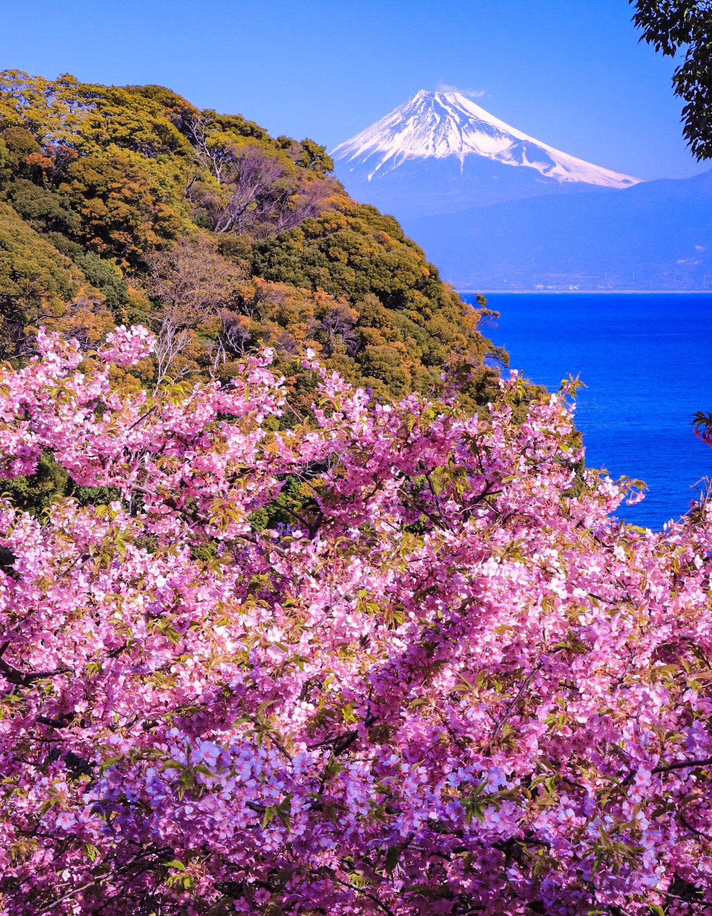 Satoshiの絶景 富士山✨🗻✨✨✨ on X: 