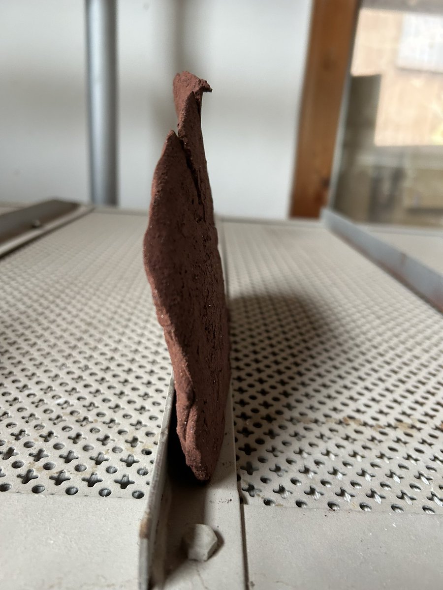 tori kudo tweet media