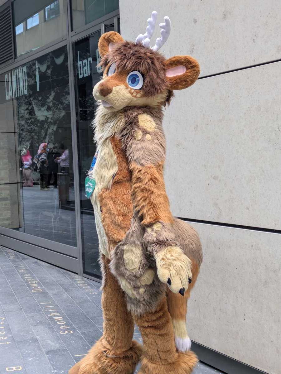 Nai π CFZ#827 (@naicoleptic) on Twitter photo Thank you to everyone that made my full suit debut that extra bit special.π₯°π₯° It feels like I'm dreaming. I still can't believe that I get to be a full hybrid now eeeep!!!! Thank you to the amazing <a href="/Minimoise3/">Popcorn Mini</a> for making my boy even more beautiful. You've outdone yourself. Thank you to everyone that made my full suit debut that extra bit special.π₯°π₯° It feels like I'm dreaming. I still can't believe that I get to be a full hybrid now eeeep!!!! Thank you to the amazing <a href="/Minimoise3/">Popcorn Mini</a> for making my boy even more beautiful. You've outdone yourself.