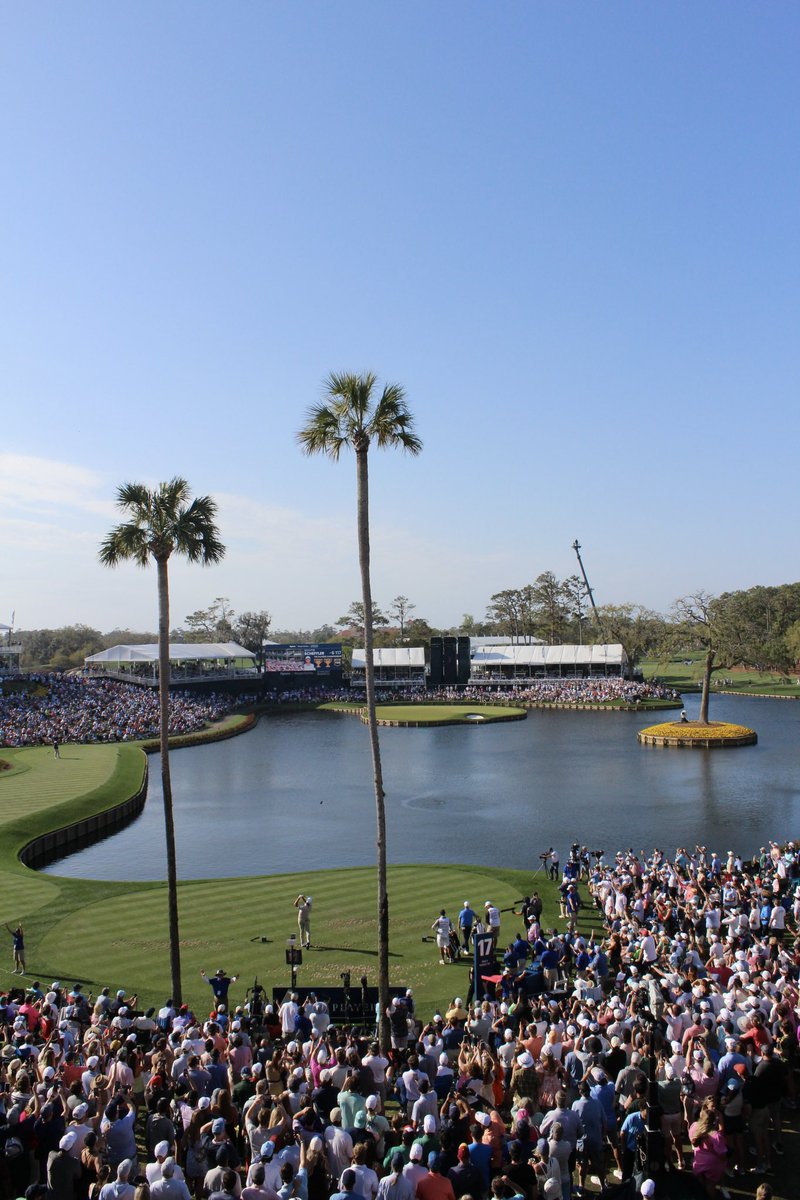 TPCSawgrass's tweet photo. Scenes on 17 https://t.co/rtW1cnGiw4
