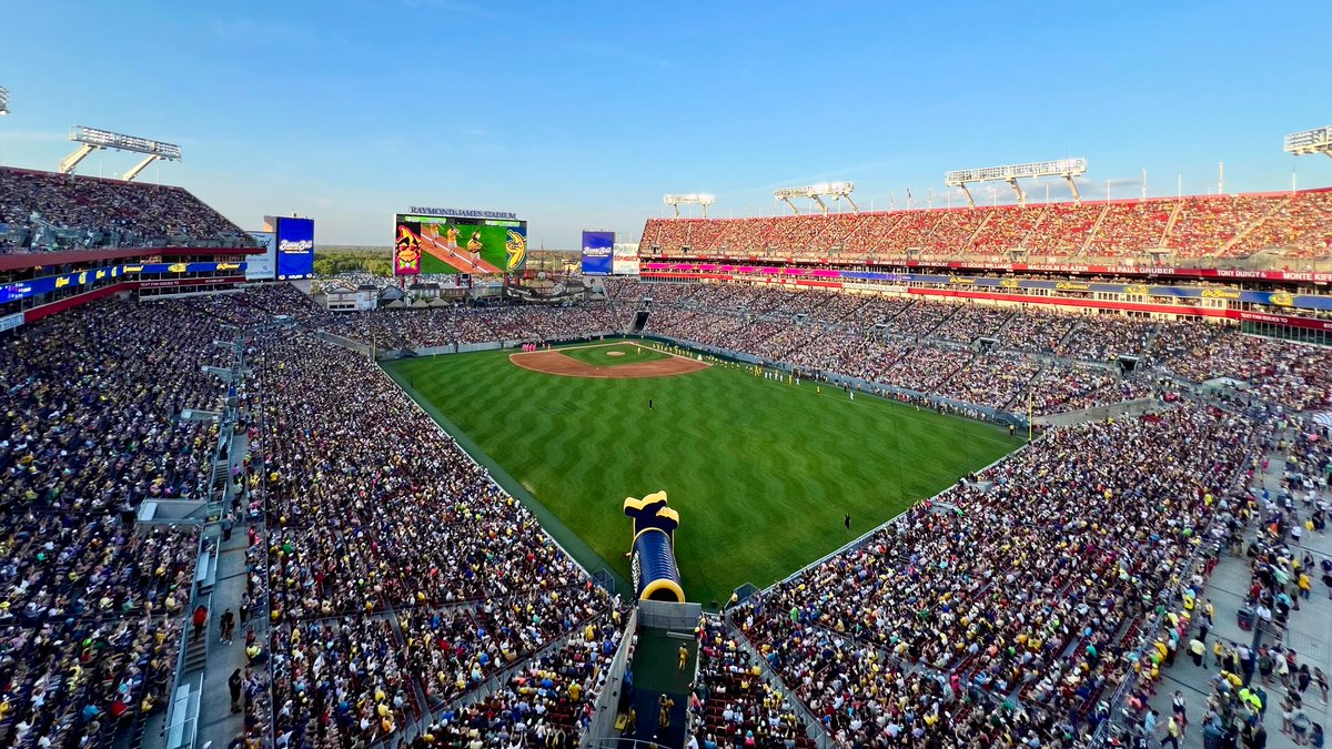 First-ever <a href="/TheSavBananas/">Savannah Bananas</a> game in a NFL stadium! Incredible! ☀️🌴🍌