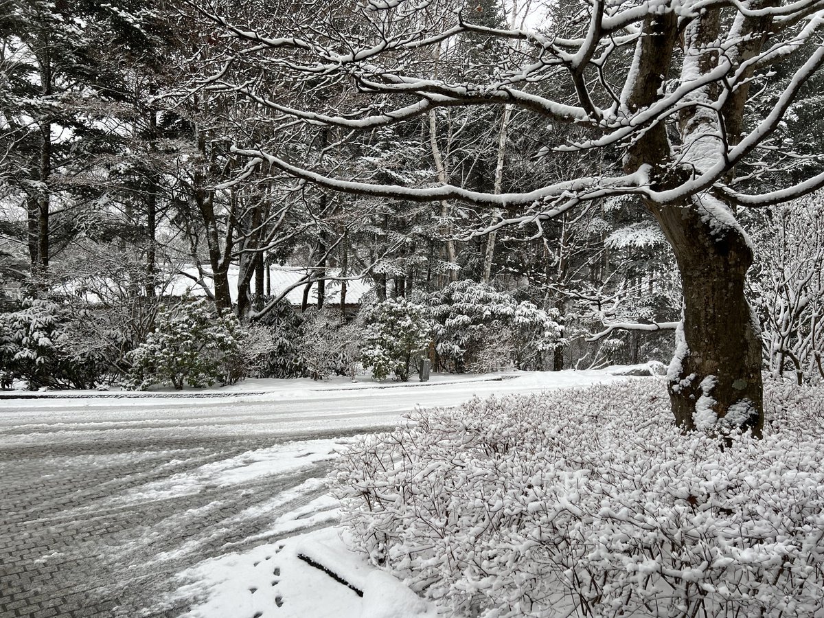 おはようございます❄️