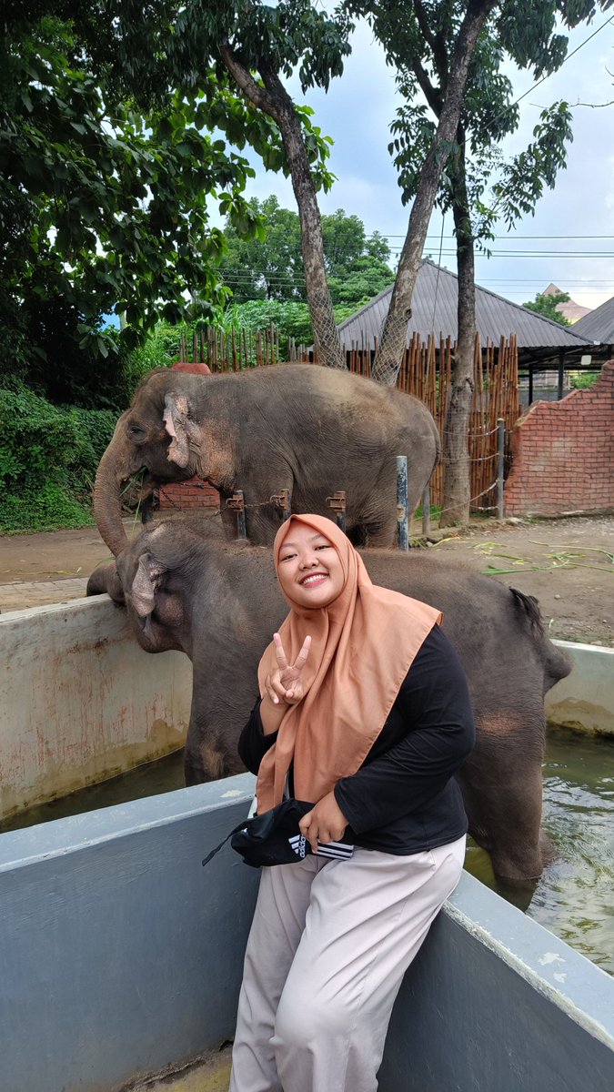 wibrika's tweet photo. @radenrauf Sudah lama gak ikutan,

Jangan panggil aku gajah, takutnya yg di belakang gak terima, wkwk.

Kalo panggil manis boleh lah.

#LoveStory https://t.co/DgLlpwdvtS