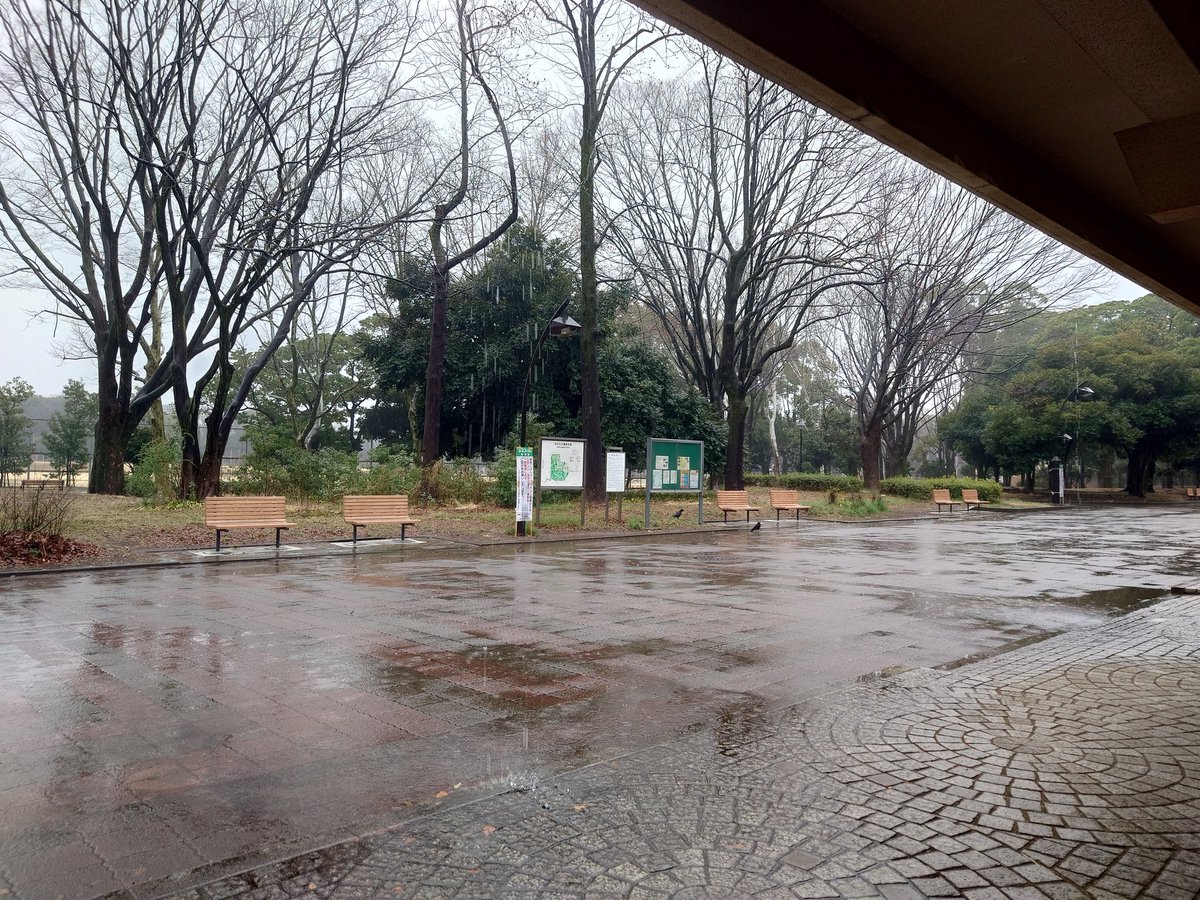 EmiRC2022's tweet photo. 本日はさいたまマラソン、板橋シティマラソンですね！
生憎の天気ですが、少しでも弱まってくれると良いですね🙏
終わったあとはしっかり暖まってください！

練習会は光が丘公園ですが、走らずにコアトレ・筋トレします💪 https://t.co/pzQrHBMgkm
