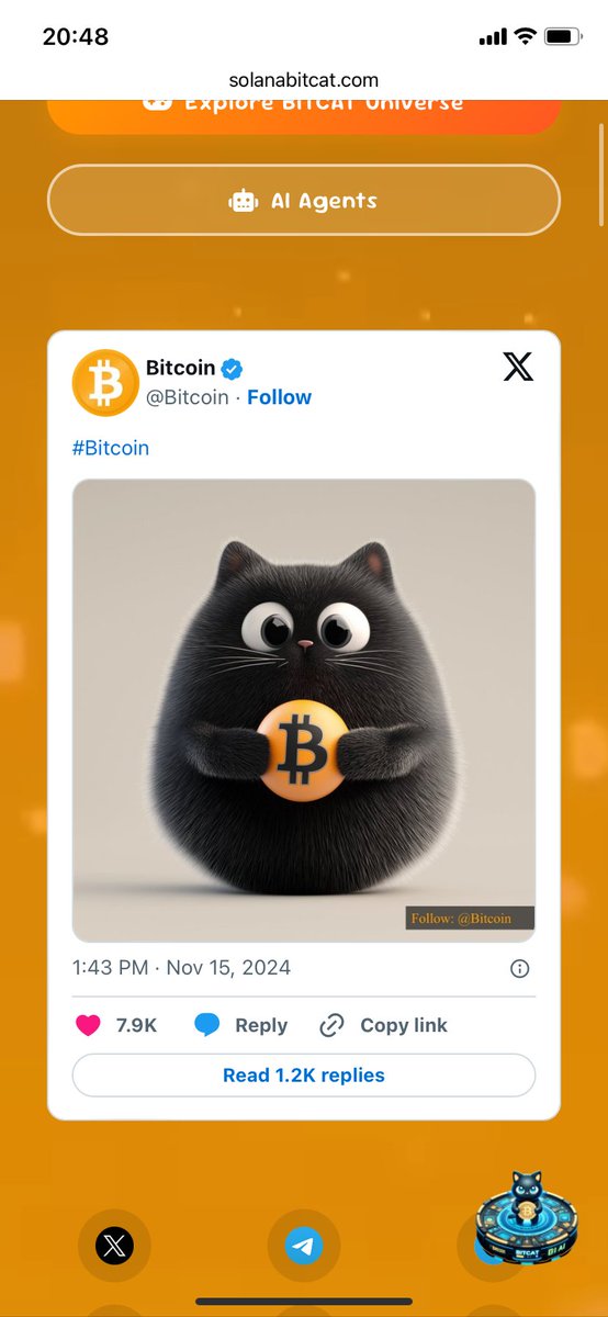 BITCAT - Bitcoin's Mascot tweet media