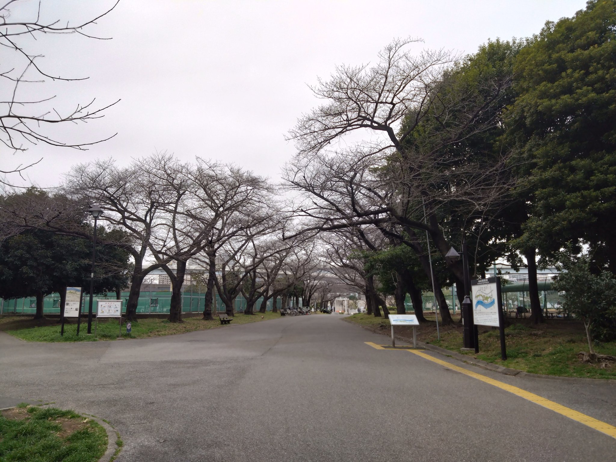 京極派和歌の研究／岩佐美代子【著】 京極派和歌の研究 改訂増補新装版 | 岩佐美代子 |本 | 通販 | Amazon
