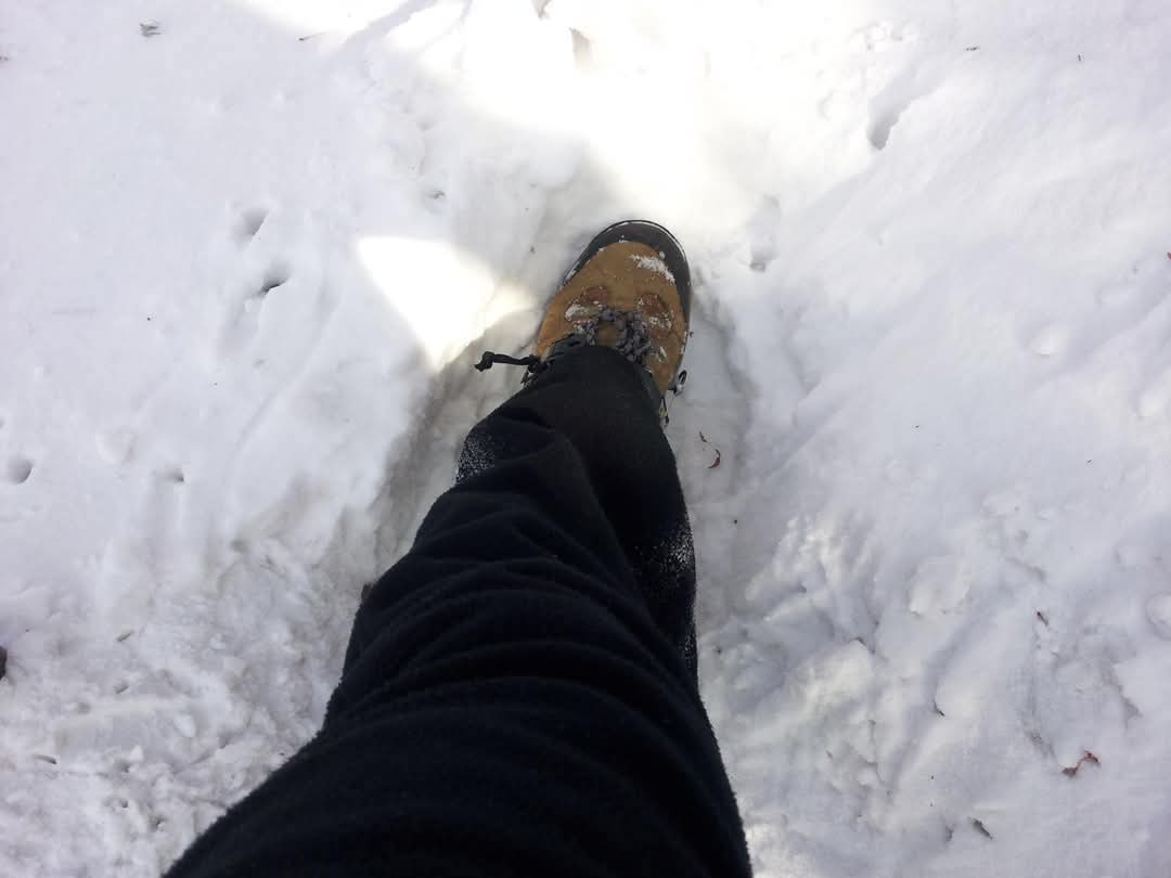 [정글의 법칙_4] 묻어버려!

그것은 새로운 권력 즉 힘 있는 자들의 이기적 해석에 따라 항상 다시 쓰여졌다.

왜곡을 바로잡는다며,
적폐청산을 운운하며...

인간들이 정글인 요즘이다.

정글에는 정글의 법칙이 있다.
‘약육강식(弱肉强食)’이다.

그들이 믿는 오로지의 진리이다.

글구 ‘새벽이슬’