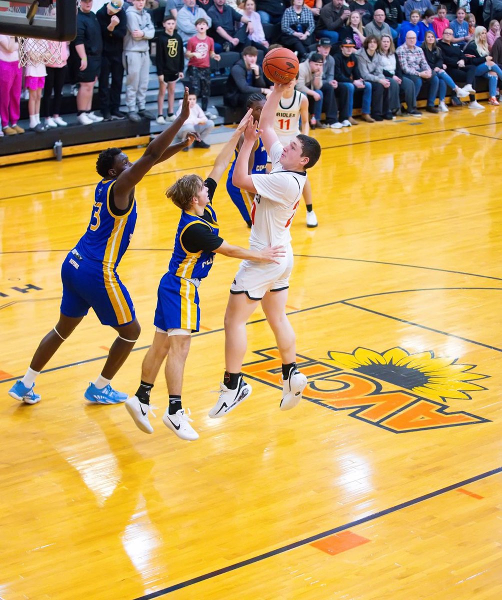 Oriole Basketball tweet media