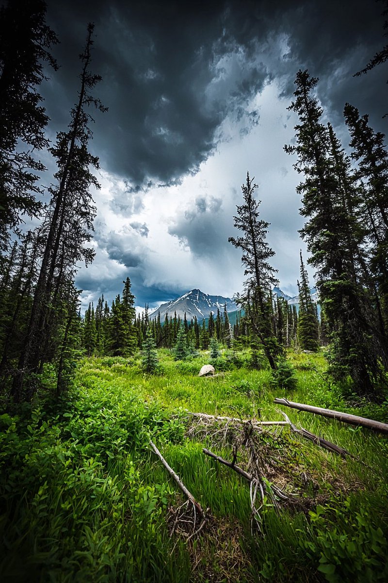 Undermoose_'s tweet photo. Yukon https://t.co/pyAS2q7NxO