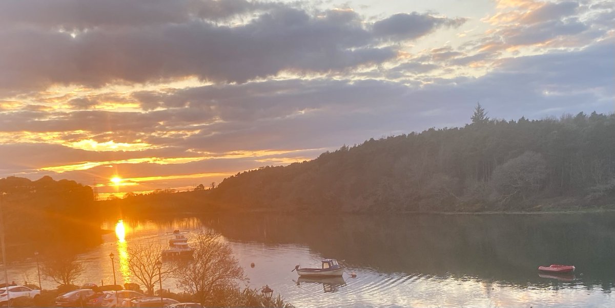 Angela Gallagher tweet media