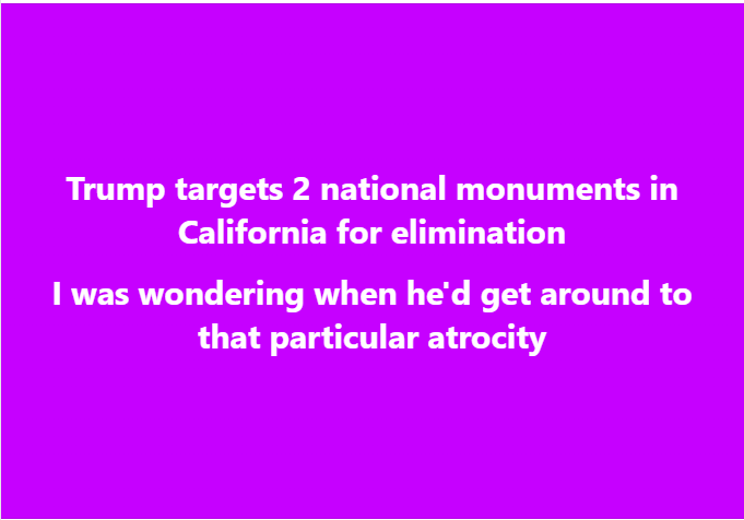 Sabrina McDaniel (@sabrina_mcda) on Twitter photo 