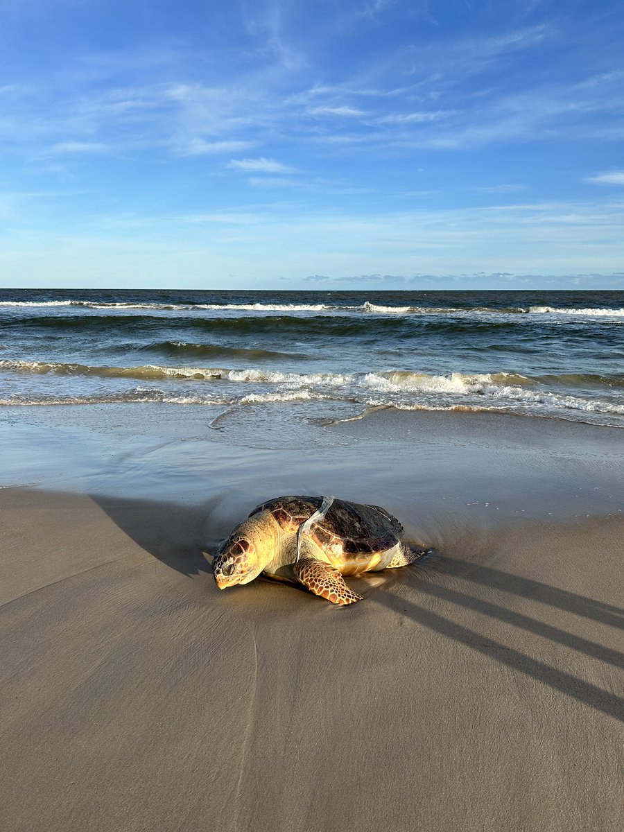 ceciliaimoian's tweet photo. Playa de Marindia - Canelones https://t.co/C4c535RMyO