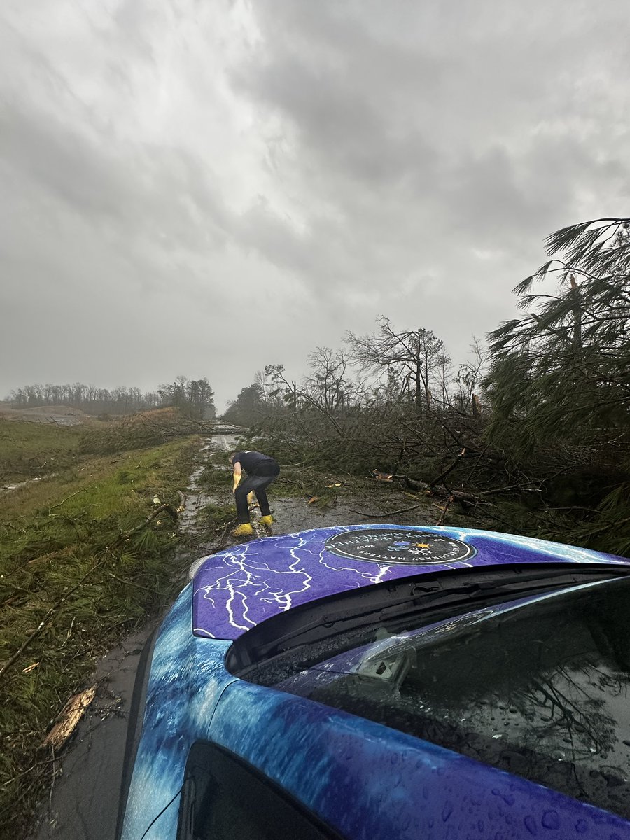 🌞 Henry Swenson 🌱 tweet media