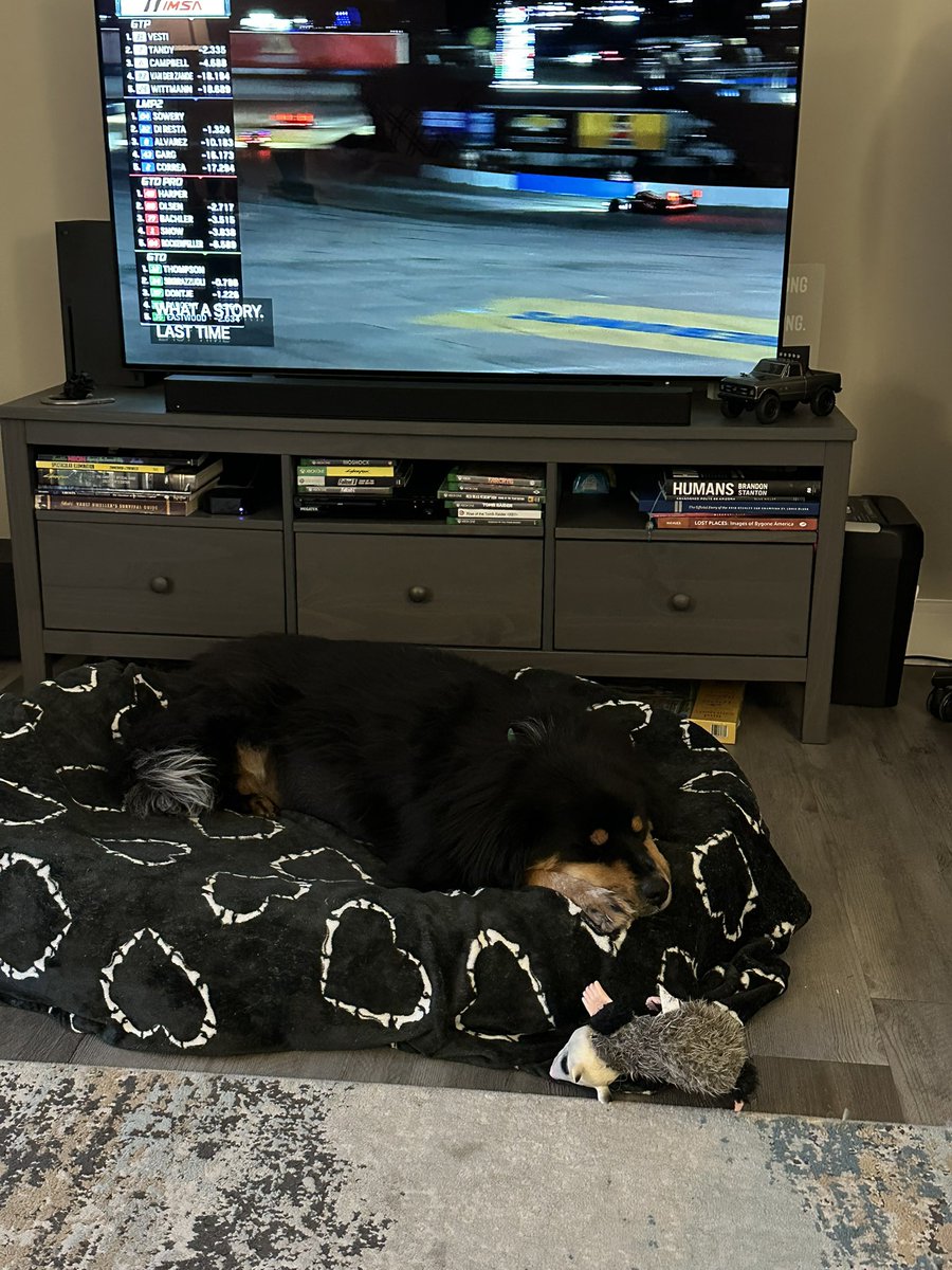 feral_luxury's tweet photo. #12HoursofSebring https://t.co/yoFkyUE1iD