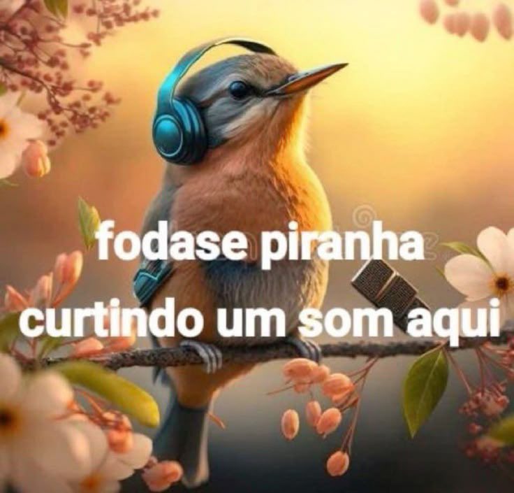 midiaplugg's tweet photo. https://t.co/yvASRPkbZP