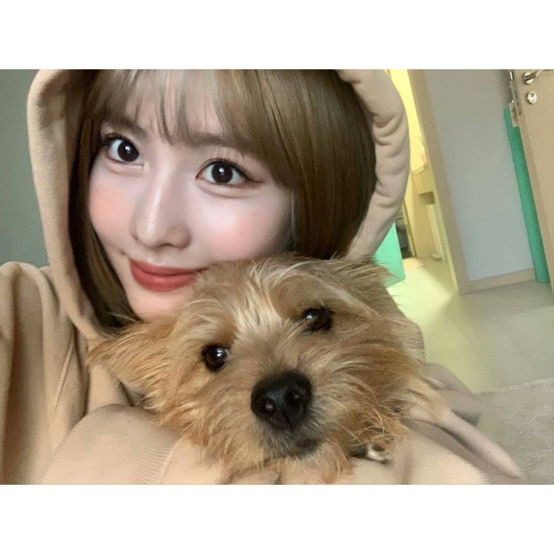 𝑀i 𝑓iel 𝕔ompañero y yo, estamos más que listos 𝑝ara gritar con 𝕥oditos mis pulmones #𝚜ayː𝚑𝕚·𝚑𝕚·𝚗a͞n𝕒 ♡ 🍰 𝐎f course, 𝑞ue estoy más que emocionada por seguir siendo parte, de lo mejor de este #𝚋ünn𝕚𓇺ུ𝚛ad𝕚o.

𝑙ith(𝕚)ūm 𓈒 ꒰ 𓂋 🪷 *  𝑃on𝕪o.