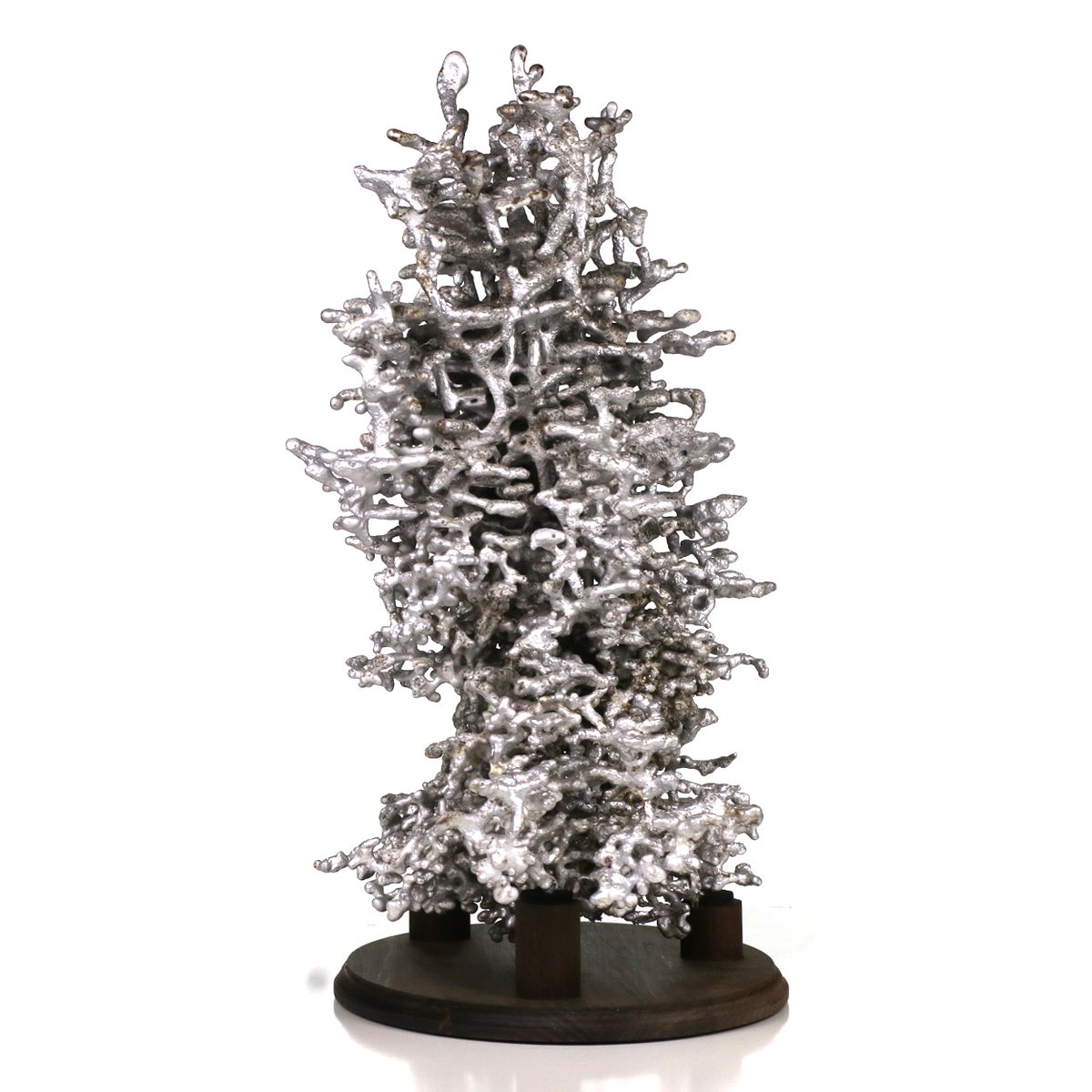 Anthill Art tweet media