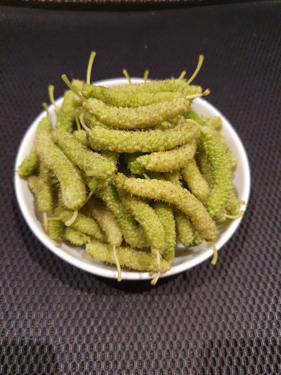 اللهم تقبل من الجميع
صباحات مزارع ... اللهم بارك .. جني اليوم من التوت الكشميري