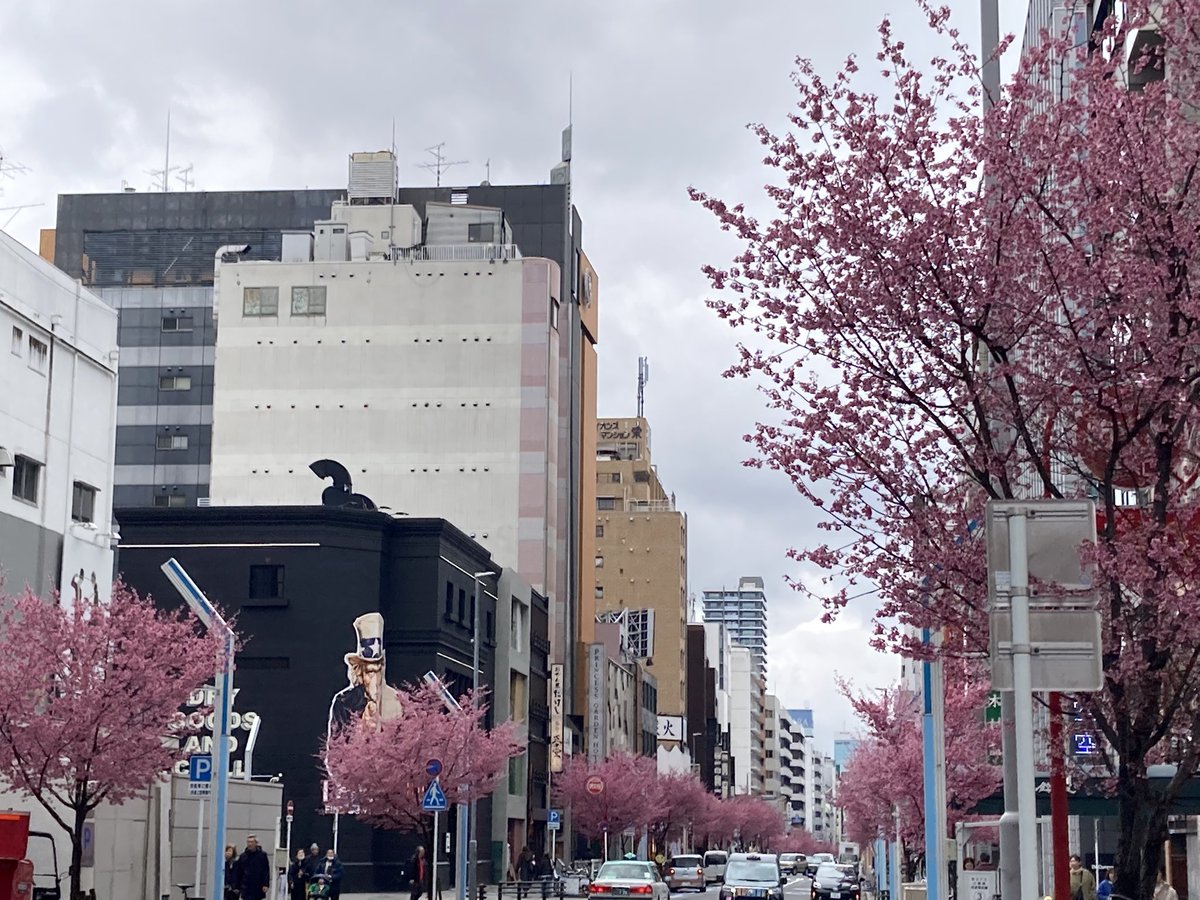 ugachanblog's tweet image. こんにちは😊
曇り空で雨が今にも降りそうです
肌寒くお身体に気をつけてくださいね
買い物で栄に出かけました
いつもは通らない道
オカメザクラが綺麗に咲いてました
春は確実に近づいてますね😃
さぁ帰って簿記勉しないと
日々の積み上げしかないですからね
素敵な午後になりますように🍀✨