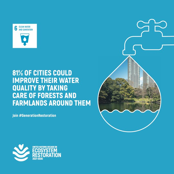 Since 2000, the number of city inhabitants without access to safe drinking water has increased by over 50%.

Restoring wetlands &amp; riverine areas is critical to improve water quality.
#GenerationRestoration

➡️bit.ly/3M3inml 

via <a href="/UNEP/">UN Environment Programme</a>
