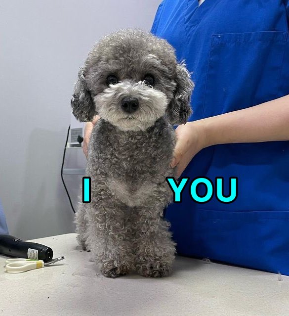 hourly_zero's tweet image. 