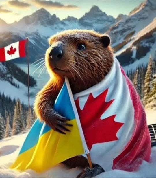 I am Canadian and I stand with Ukraine 🇨🇦❤️🇺🇦