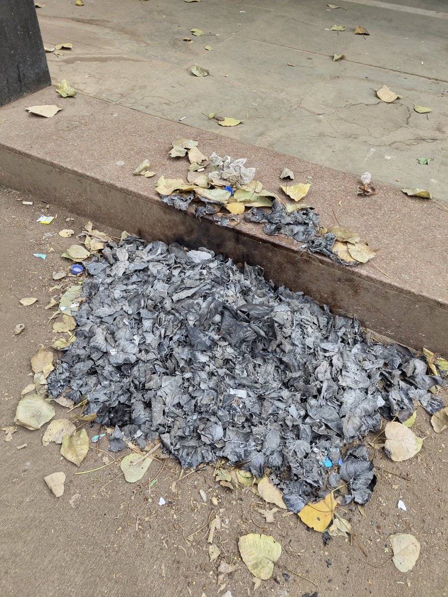 the_hairmonster's tweet photo. This is unbelievable! The BMC sweeper outside our shop broke our plants for absolutely no reason! They also lit fire to dry leaves damaging the tiles and burning our plants and pots. This has to be dealt with strictly! @mybmc @mybmcWardHW @MumbaiPolice @fayedsouza @ShelarAshish https://t.co/r2HdsXbtQK