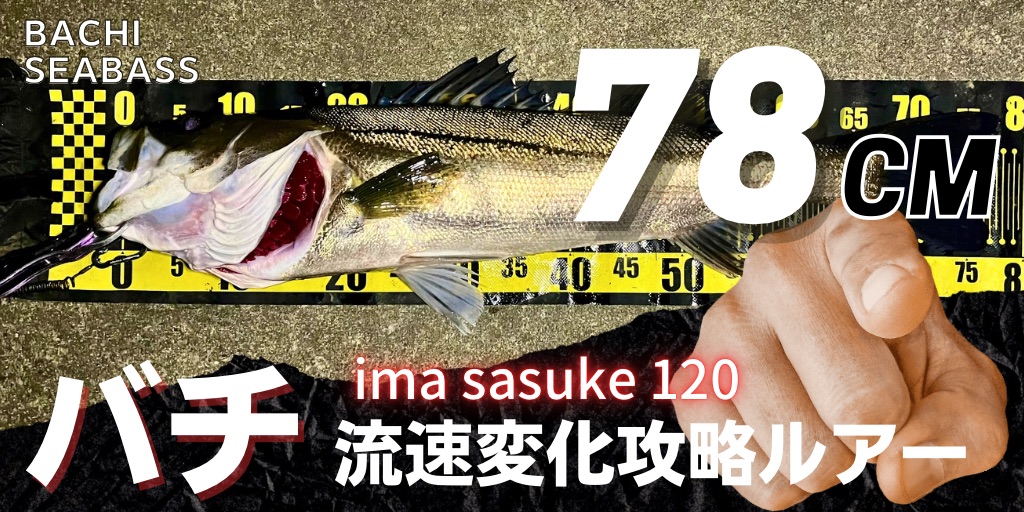 turishiro's tweet photo. 射程距離内に波紋が出てきたらランカーシーバス？2025年バチ抜けタイミングと「sasuke120裂波」 https://t.co/Vl6tVHu3dq https://t.co/itDuGCkoQu