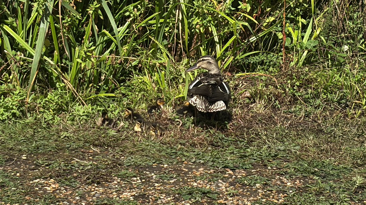 Day 2 of me posting a pic from my fishing diary