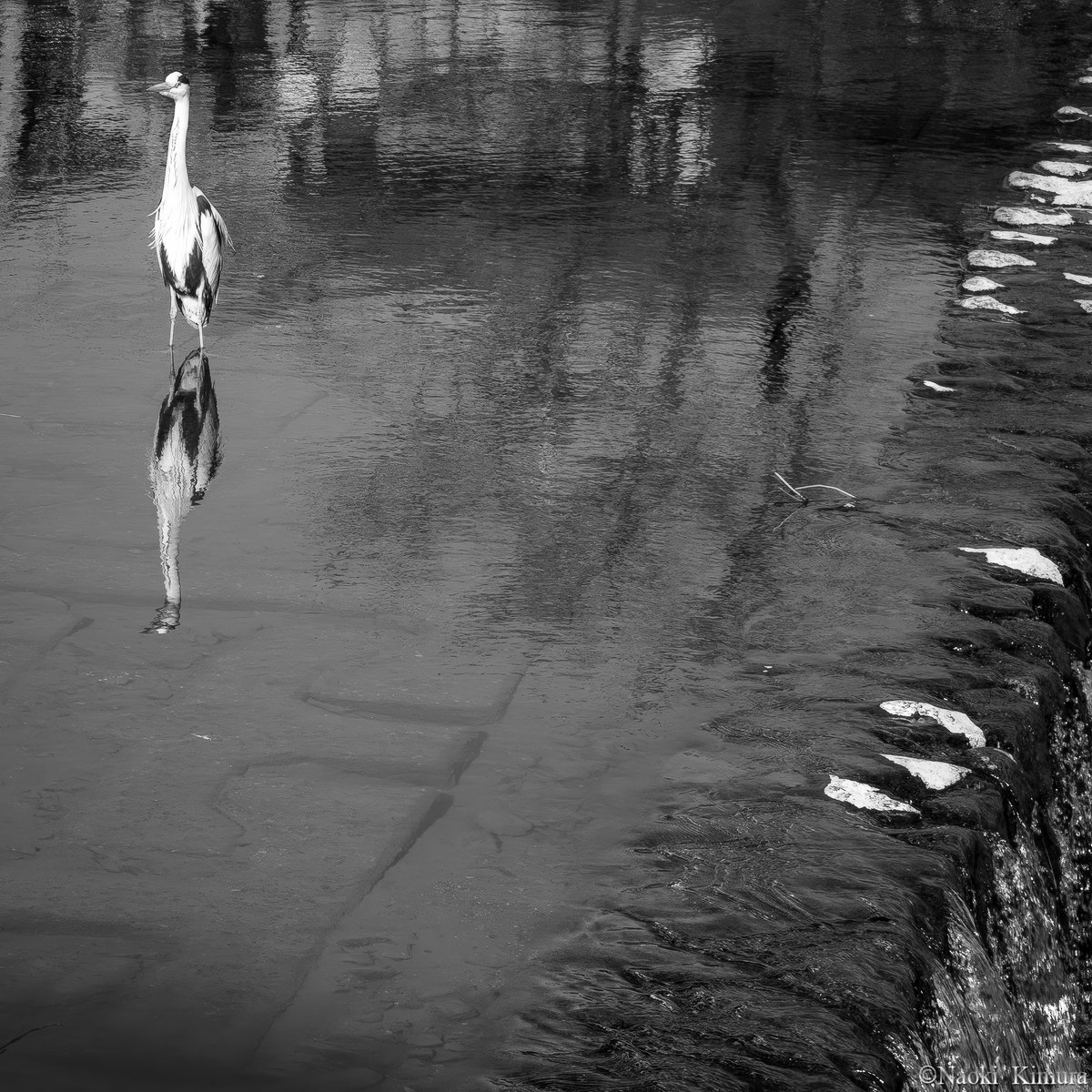 "The concept of boundaries may only be understood from a bird's-eye view."

境界というものは、俯瞰でしかわからないものなのかもしれないのです