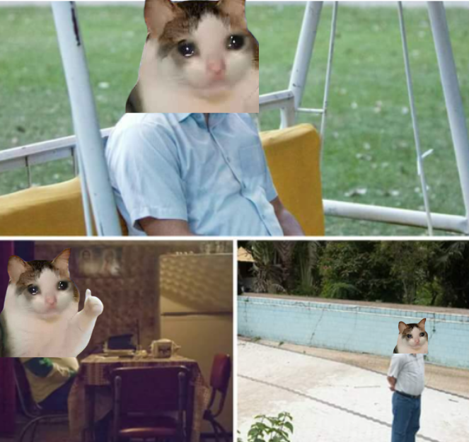 OKCATCTO tweet media