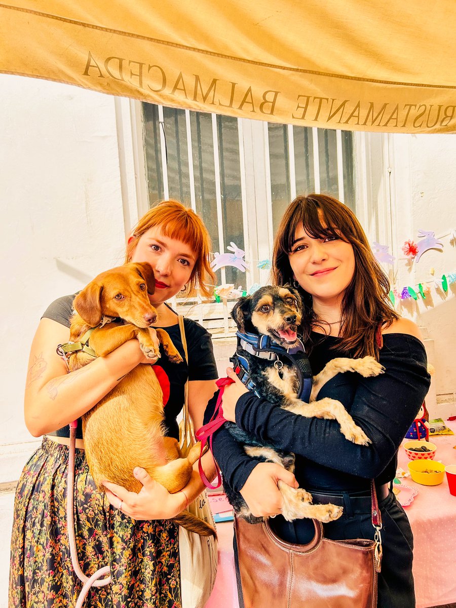 Club de Té 🐇 tweet media