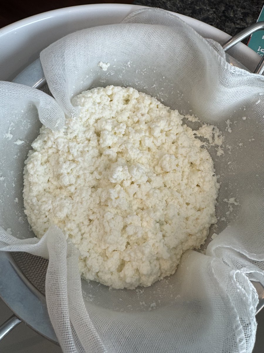 acemacg's tweet image. Today was ultimate homemade lasagna. Made everything from scratch except some of the mozzarella. I did use homemade mozzarella but didn’t have enough. 

#KitsWhoCook @calmecam