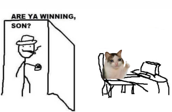 OKCATCTO tweet media