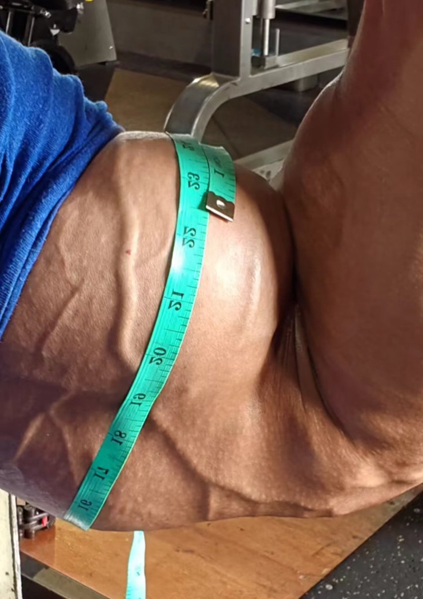 DreamerInthe's tweet photo. Razali Mahmud - Marvelous Mount of Anabolic Muscle Fibers! https://t.co/m151YlToV2